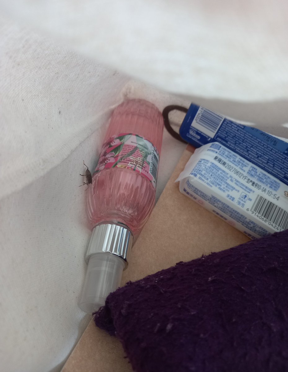 eithersniffs's tweet image. kimse cantamda böcek tasidigimi bilmiyor (digeri saklandi)