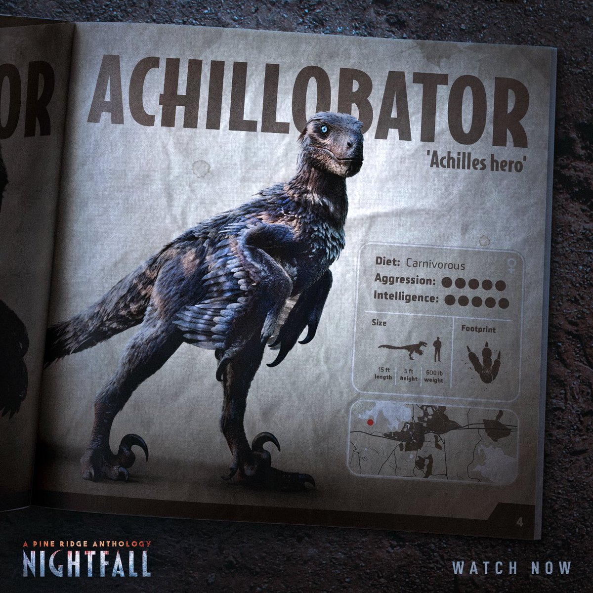 Nightfall - A Pine Ridge Anthology tweet media