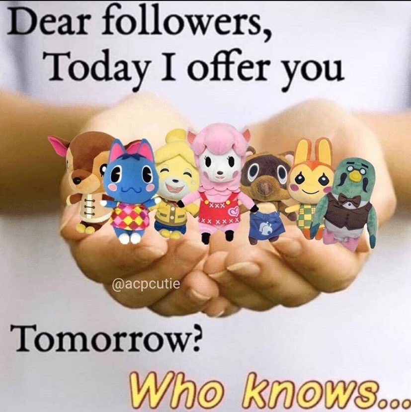 Canelita (@canela_chair) on Twitter photo 