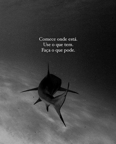 Espere pelo momento perfeito e veja sua vida passar sem realizar nada.