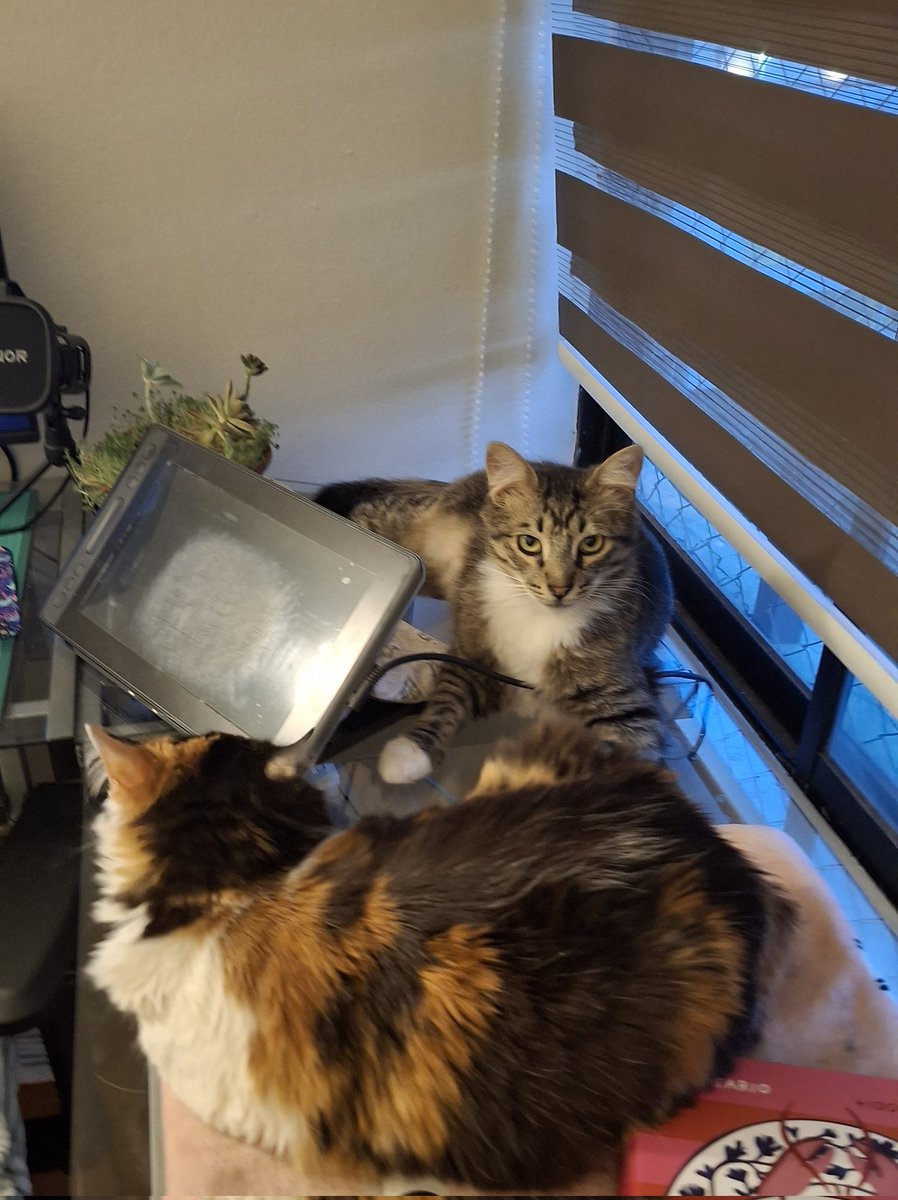 This is my workplace, usually they are with me while i'm working on my commissions 🐱
I need to change the screen protector of my tablet 😭