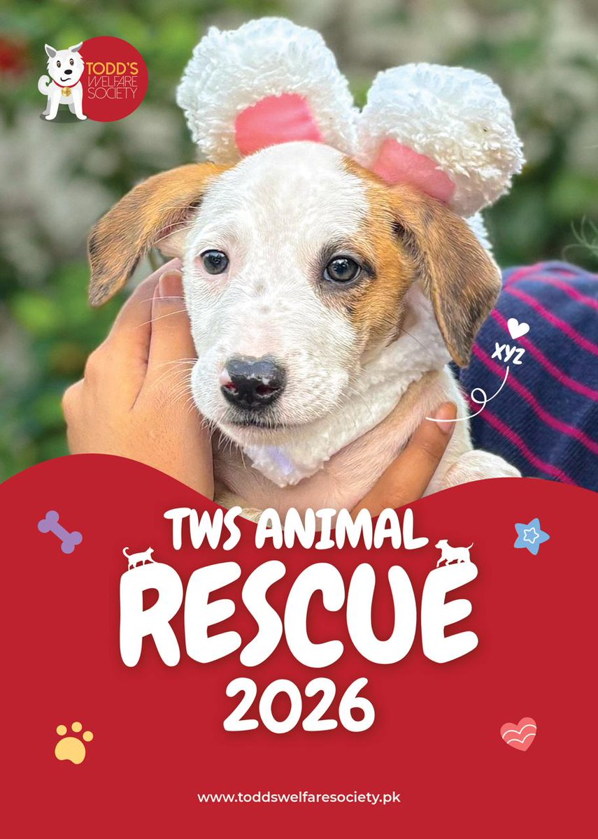 tws_pk2's tweet image. We have 300 calendars to sell so please do purchase one. Not only do they make excellent presents but you will also be helping to save a life. Cost is £13.50 if in UK and £17 for the US. Please make sure to add your postal address. To purchase PayPal: paypal.me/twsociety