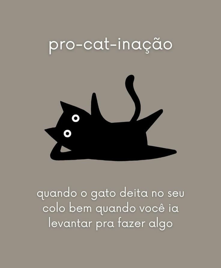 Pro-cat-inação 🤣🤣✨✨