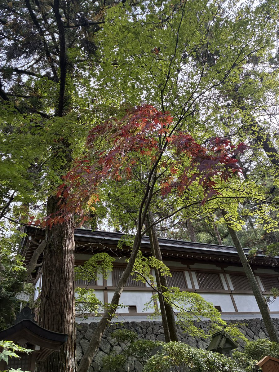 修縁堂】トランペット舎利が舎利塔に入る 壇上丸塔 vajra 密教法具古