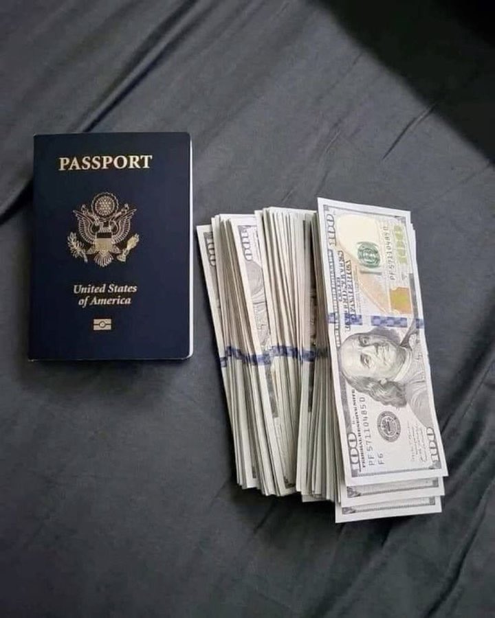 Elonpappy's tweet image. Would you travel if you had money?

A.Yes
B. No