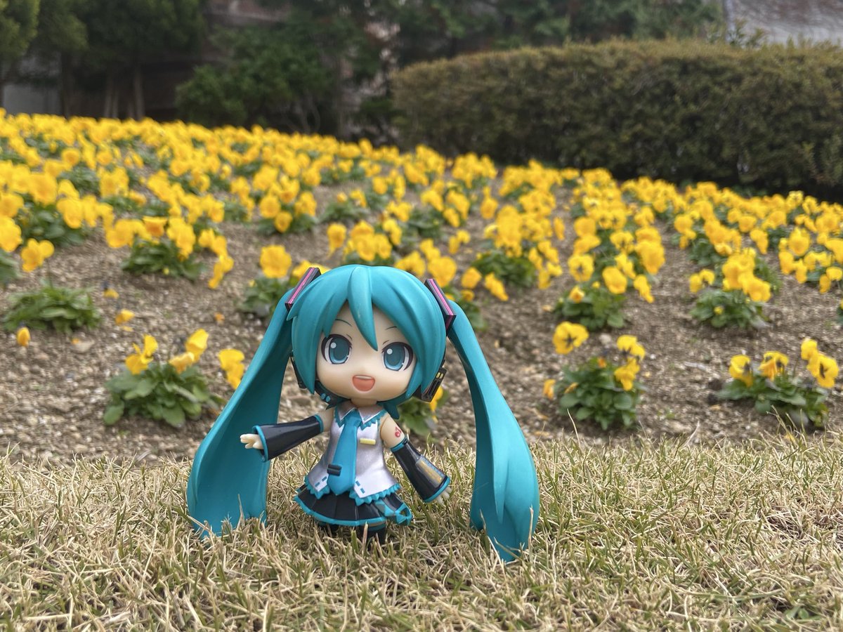 姫丸 (@himemaru839) / Posts / X