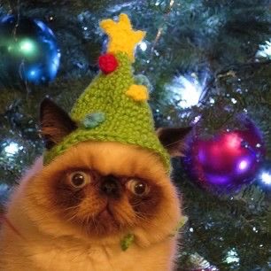 Kassandra Alvarez🍀 tweet media