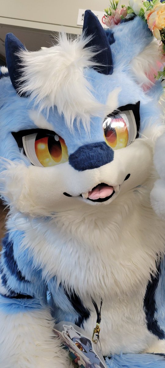 イカさん🐱(ケモノ愛好家) tweet media