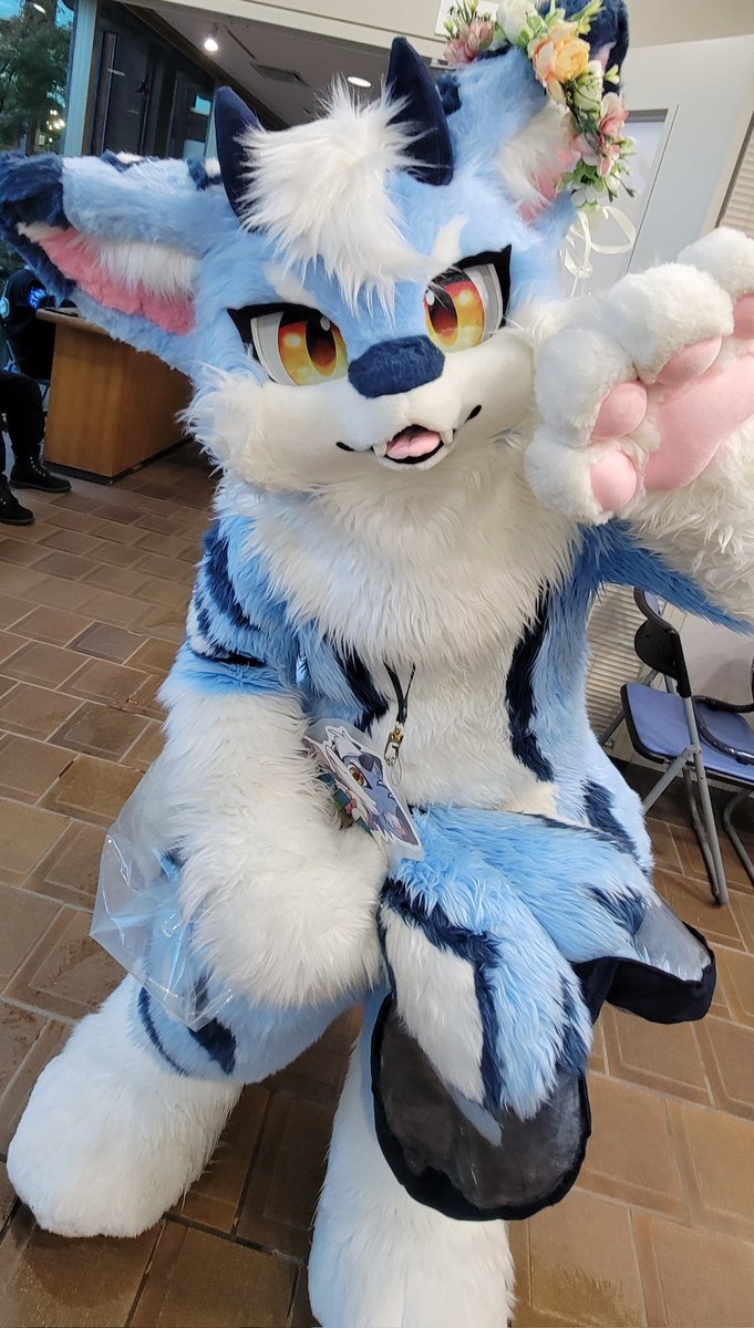 イカさん🐱(ケモノ愛好家) tweet media