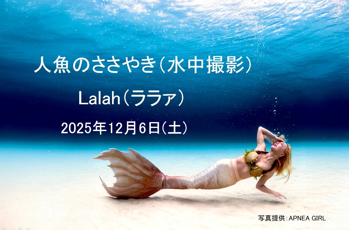 🔱🧜‍♀️kana👑🔱 (@kana0807Mermaid) / Posts / X