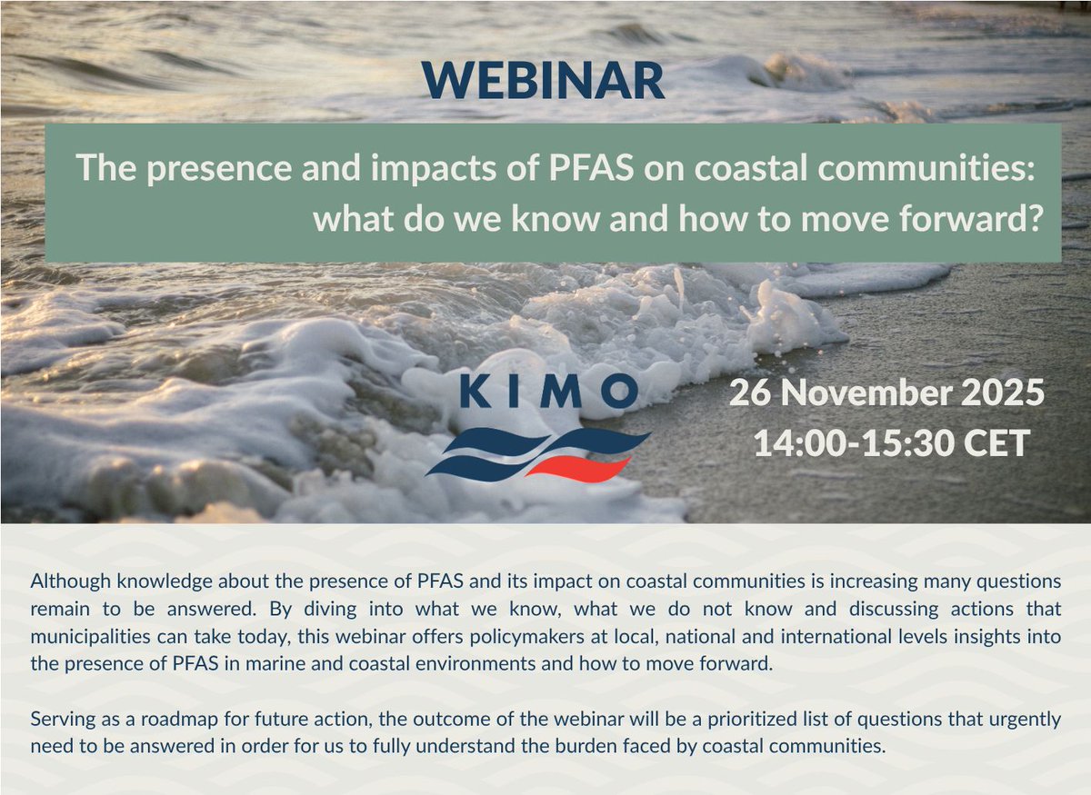 KIMO International tweet media