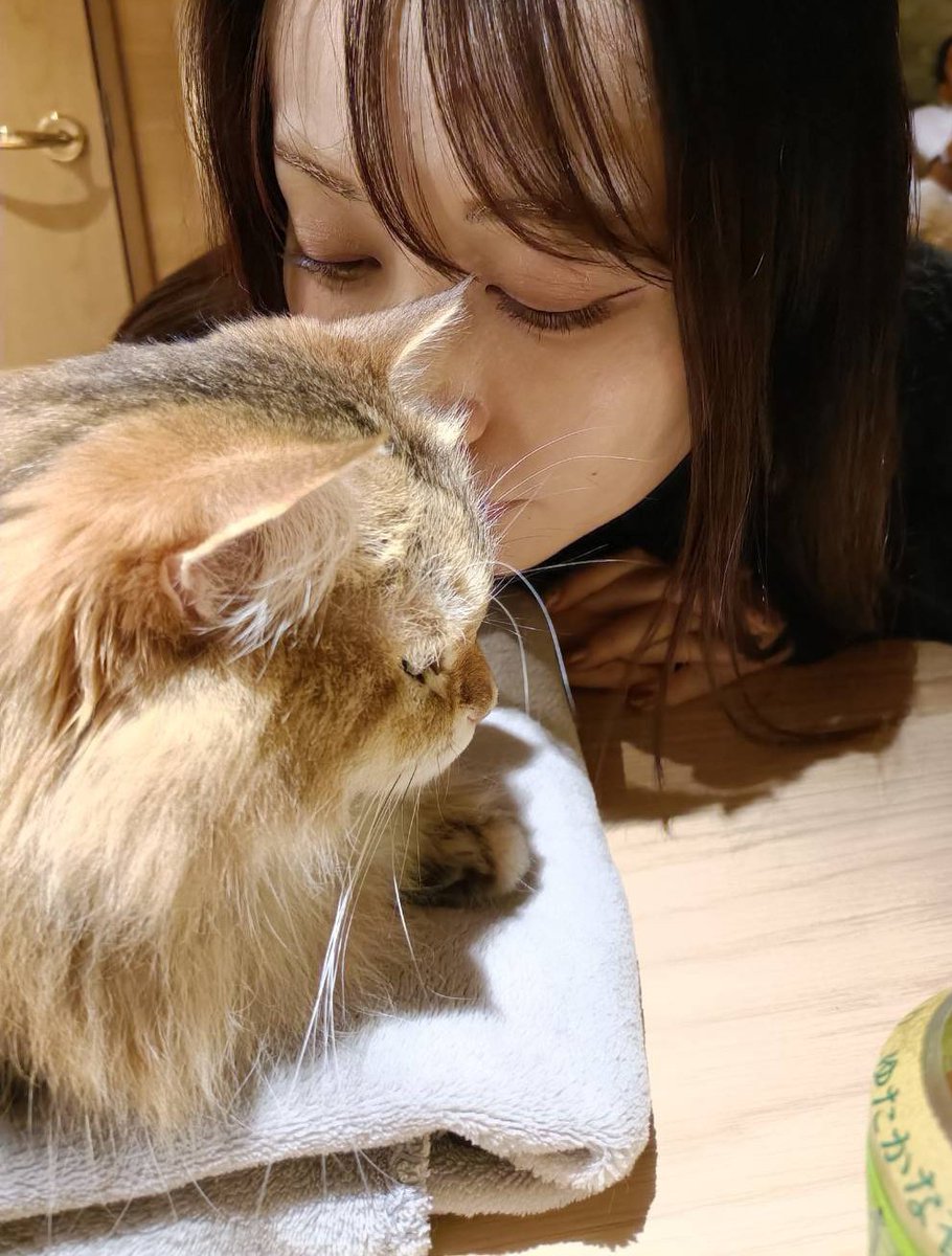 いい推しの日らしい🫶
待ち受けの私の推し女です🧡🩵