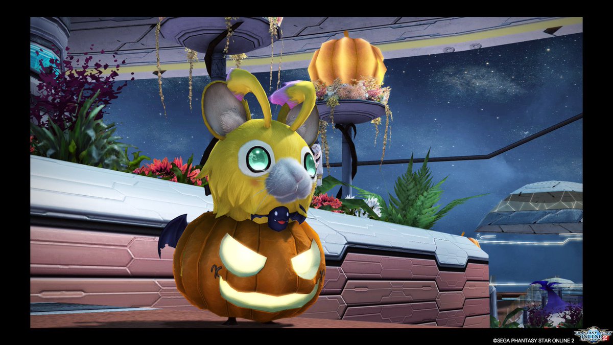 ひまり🐾ship7 (@1hRcRNXY7td3to3) / Posts / X