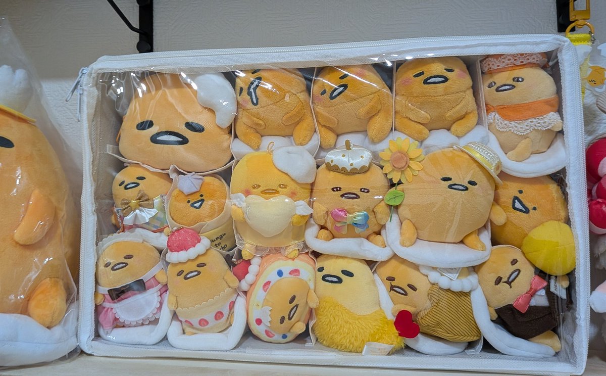 ぐでた_(:3 」∠)_ (@zdZxvelo9na4suT) / Posts / X