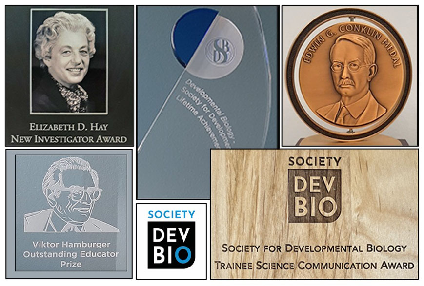 rrbehringer's tweet photo. Nominations are open for @SocDevBio 2026 awards, including Trainee Sci Comm, Hay New Investigator, Hamburger Education,  Lifetime Achievement, &amp; Conkin Medal. Nomination process has been streamlined. Deadline: Dec 15, 2025. https://t.co/cM8EsZfkhU https://t.co/ofdBT4tUa5