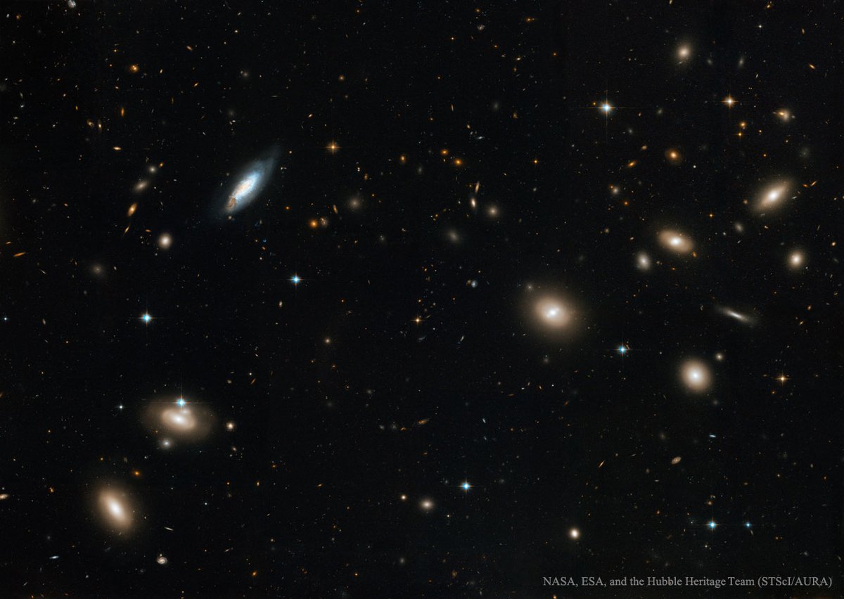 alex_riveiro's tweet image. Casi todo lo que podemos ver en esta imagen es una galaxia. Es el cúmulo de galaxias de Coma, que destaca por contener miles de galaxias. Visualizar sus dimensiones y distancia es difícil, está a 322 millones de años luz (cerca en comparación a otros cúmulos de galaxias) y tiene…