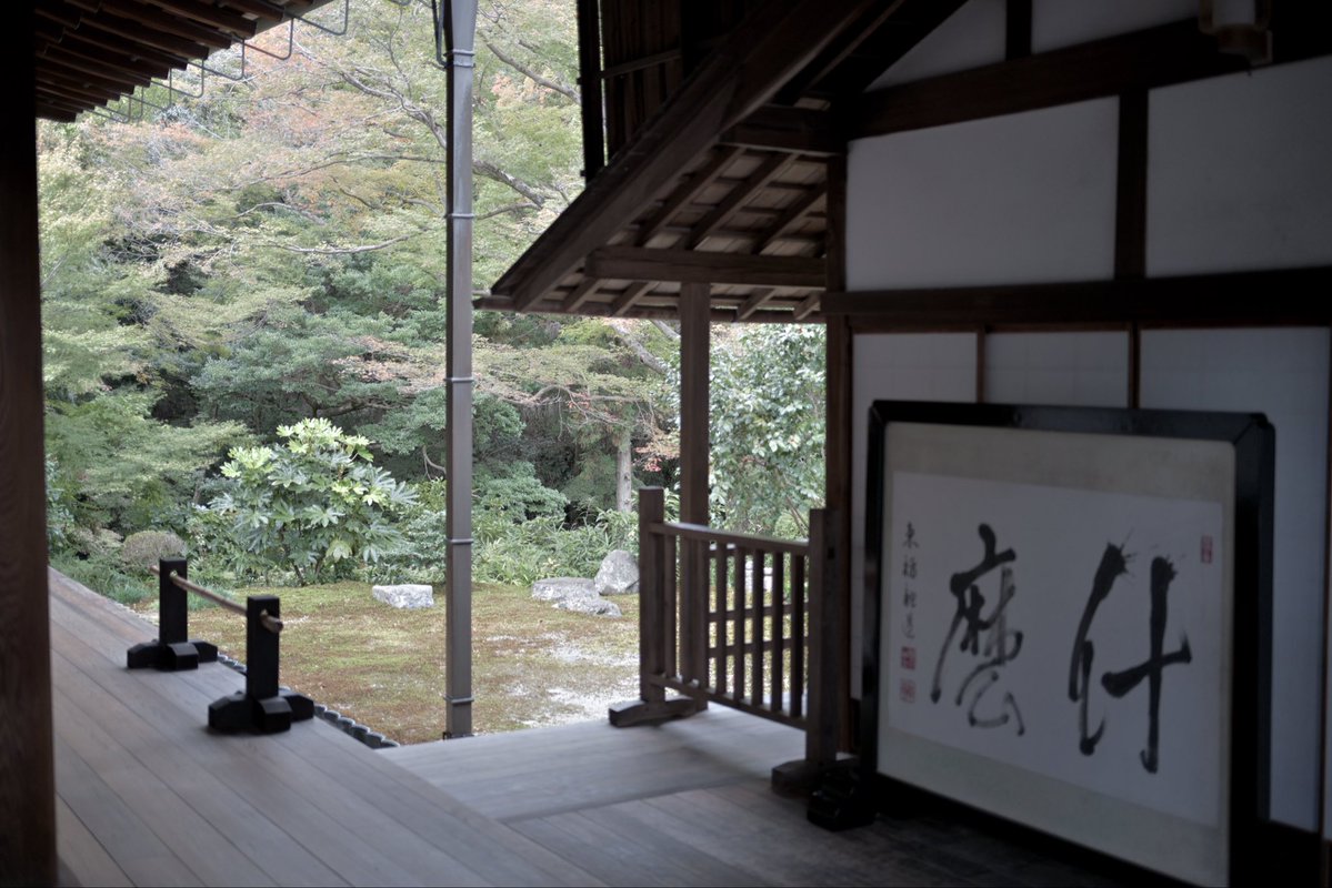 SpringCamellia's tweet image. Nikon ZR
NIKKOR Z 40mm f/2
CineBias＿RED

#カメラ好きな人と繋がりたい
#写真好きな人と繋がりたい
#写真初心者
#snapshot
#Nikon