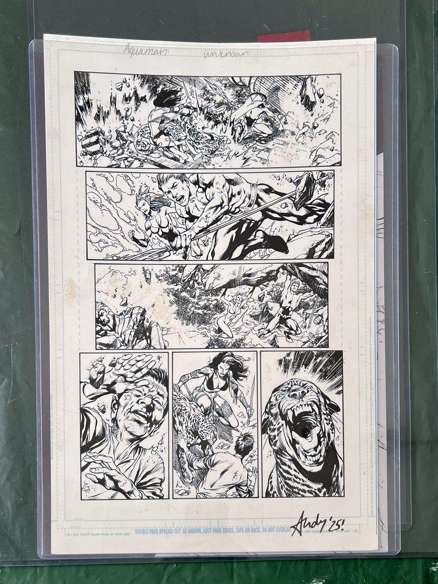 Here’s a look at the magnificent art I got at this weekend’s <a href="/FACTSConvention/">FACTS Convention</a> 

“Ace of Killers” Catwoman by <a href="/mccreaman/">John McCrea @Dead Eyes-the Empty Frames due Sept</a> Crow from East of West by <a href="/portela_francis/">Francis Portela</a> and a page from Aquaman inked by <a href="/AndyLanning/">Andy Lanning</a> over Ivan Reis’ blueline pencils!