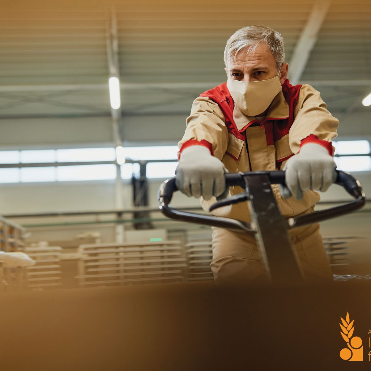 ANMF I La Meunerie Française recrute ! 🔍 tweet media