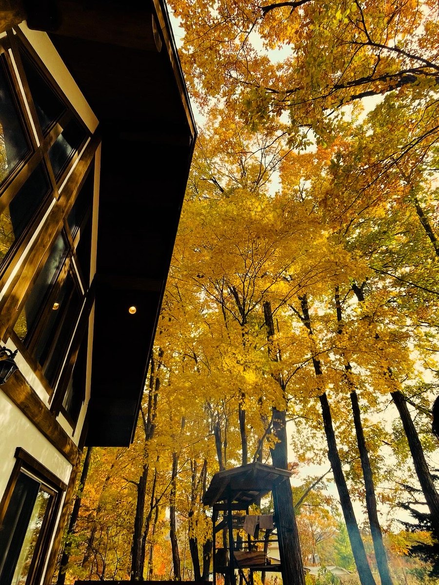 FreeSiteBase's tweet image. #1日1組限定  #プライペートキャンプ場 
第2BASE『 #北軽井沢 』

紅葉🍁ベストシーズン🍁到来
上を向けば紅葉
下を見れば落ち葉の絨毯
秋を堪能してきました✨️

 #フリーサイトベース 
 #フリーサイトベース北軽井沢 
 #紅葉 
 #落ち葉の絨毯 
 #ワンコとキャンプ