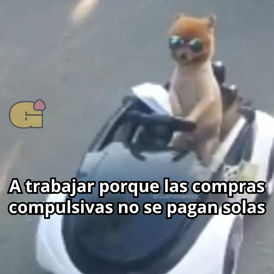 Guarromantico_'s tweet image. A trabajar.