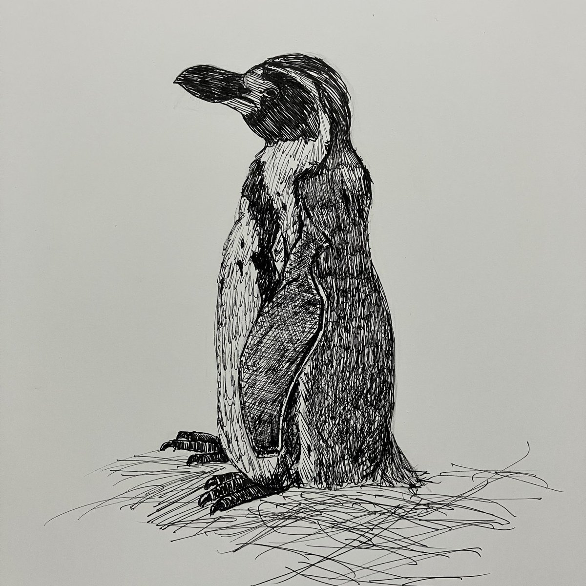 凡之､羊 von no hitsuji on X