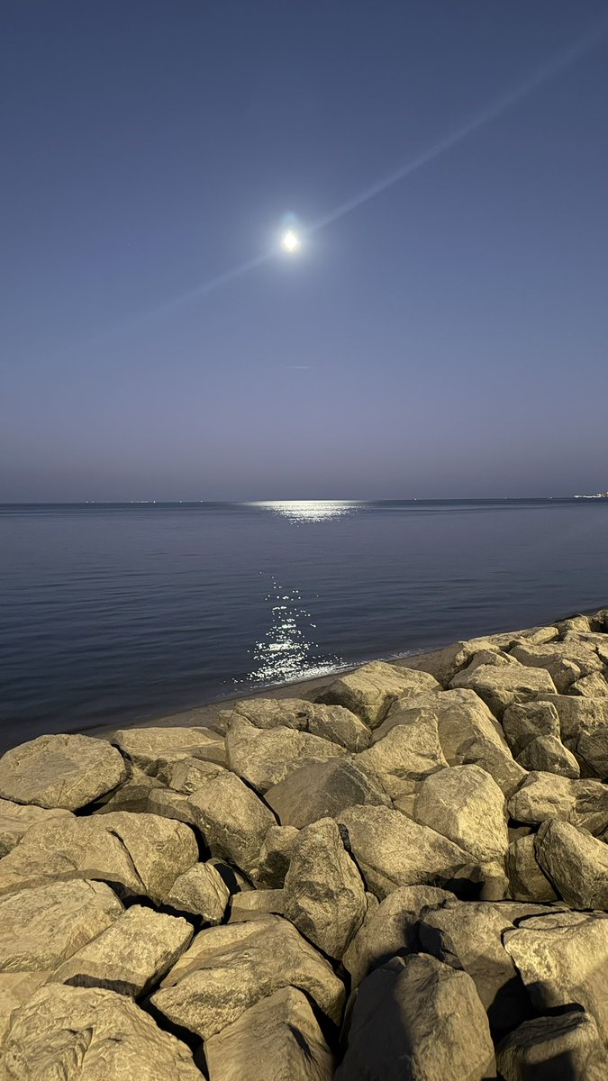 KHALEDBOUHAWAS's tweet image. 