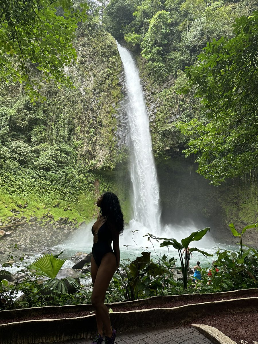 TheAdaRosee's tweet image. Color me happy, somewhere deep in the jungle