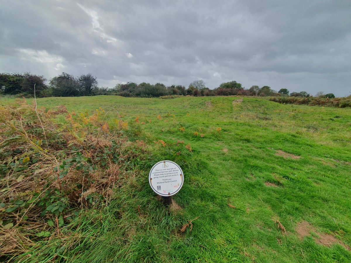 outdoorperscrip's tweet photo. Bristol airport now want to build out onto a nature reserve/ common as part of their expansion plans,  they conveniently forgot to mention that in their masterplan consultation. They also want to add more light pollution to the area. https://t.co/Ua8HnLgLWt
@DanicaPriest https://t.co/hRWoieuriZ