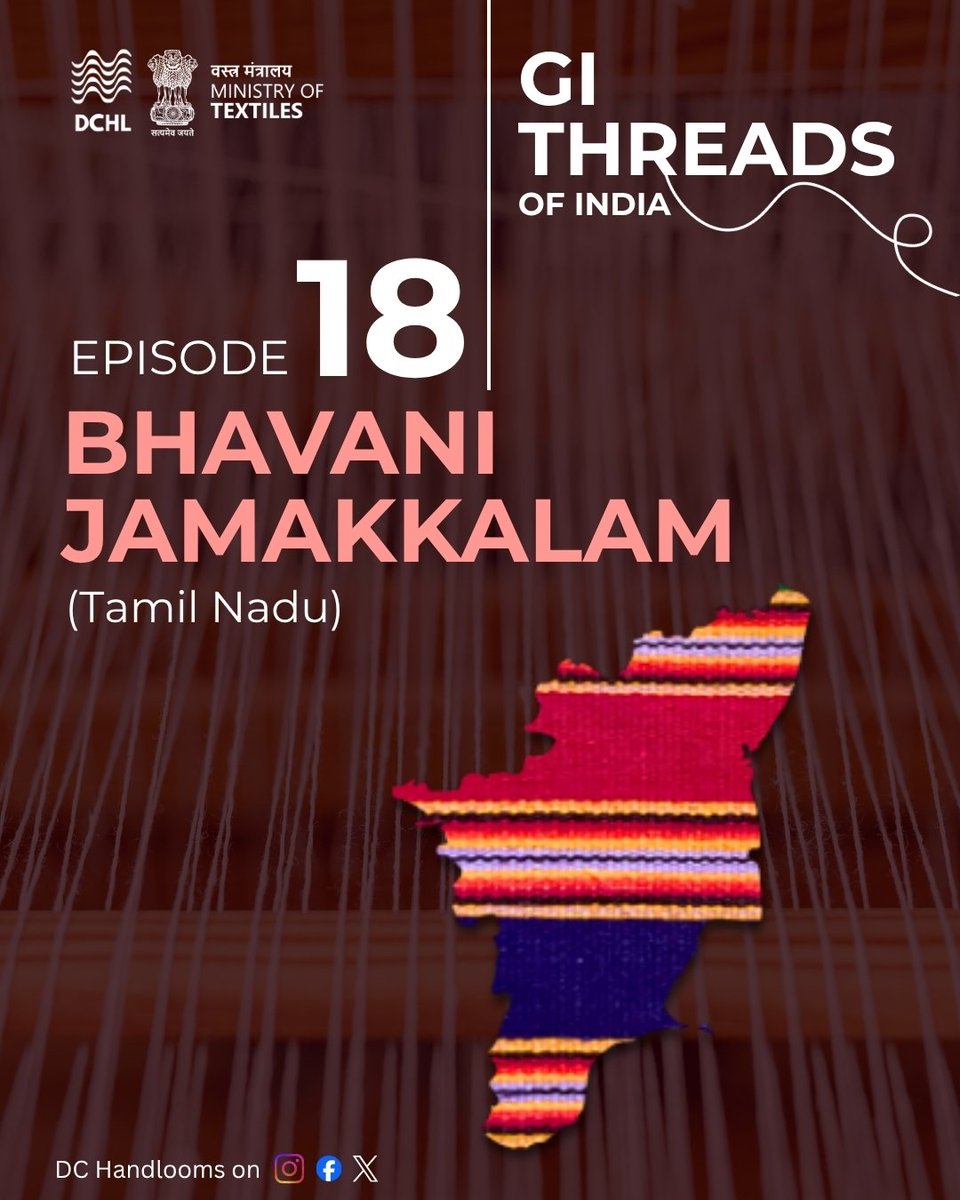 dchandlooms01's tweet image. On the banks of three sacred rivers- Bhavani, Kaveri, and Amirtha, woven with stories, the Jamakkalam carries the intimacy of touch, the rhythm of two weavers moving in unison. #gitag #handloomheritage #bhavanijamakkalam #vocalforlocalindia #tamilnadu #handloomweaves