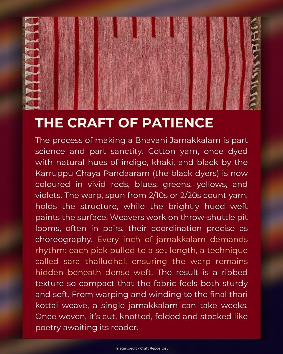 dchandlooms01's tweet image. On the banks of three sacred rivers- Bhavani, Kaveri, and Amirtha, woven with stories, the Jamakkalam carries the intimacy of touch, the rhythm of two weavers moving in unison. #gitag #handloomheritage #bhavanijamakkalam #vocalforlocalindia #tamilnadu #handloomweaves