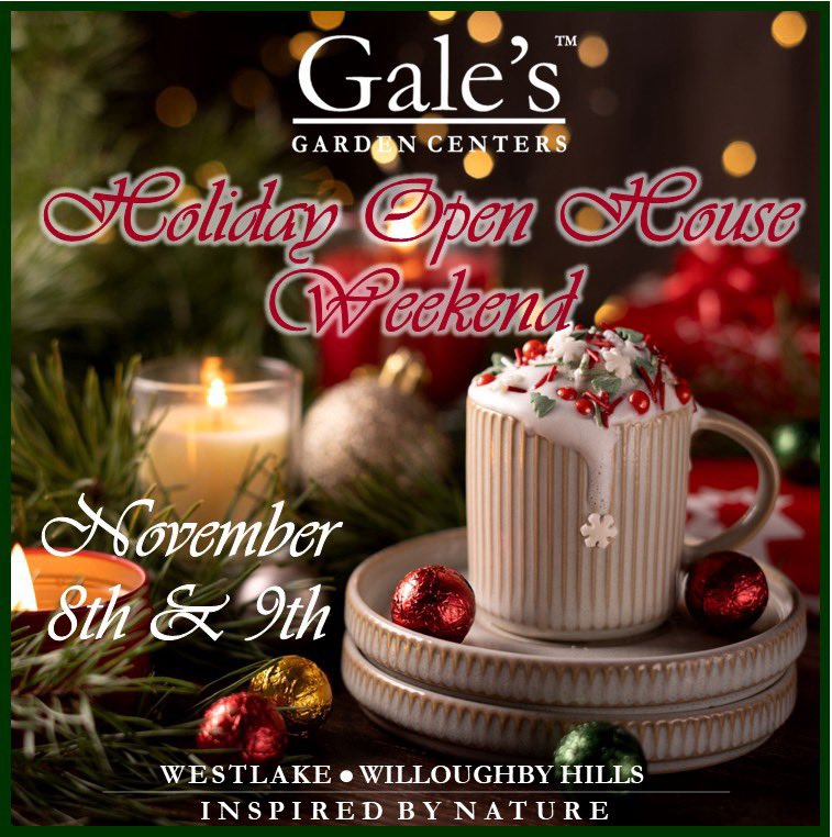 GalesW's tweet photo. This weekend! https://t.co/MGBxOSWzEG