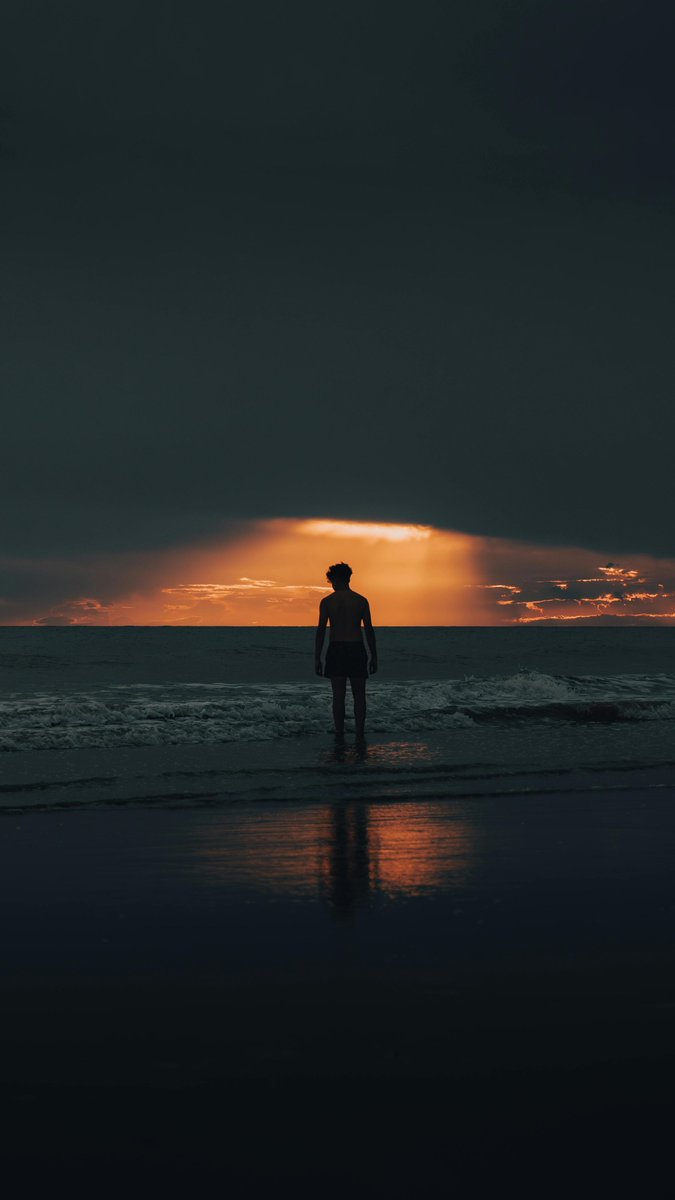 Wallsy Wallpaper tweet media