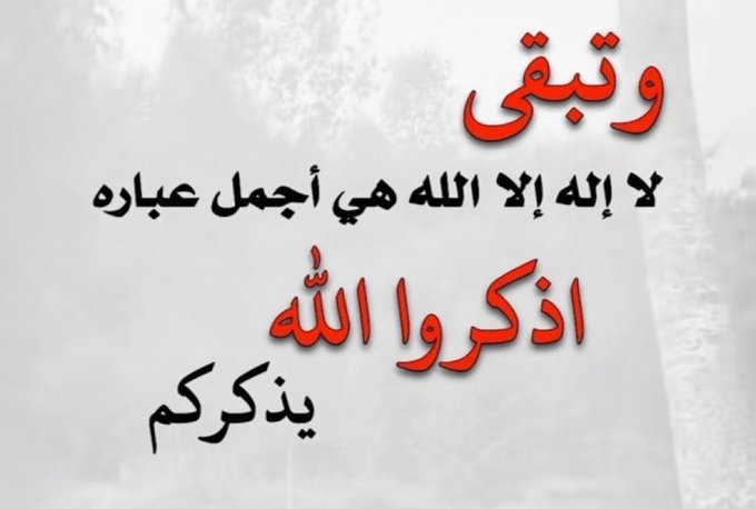 ماجد أبو المجد tweet media