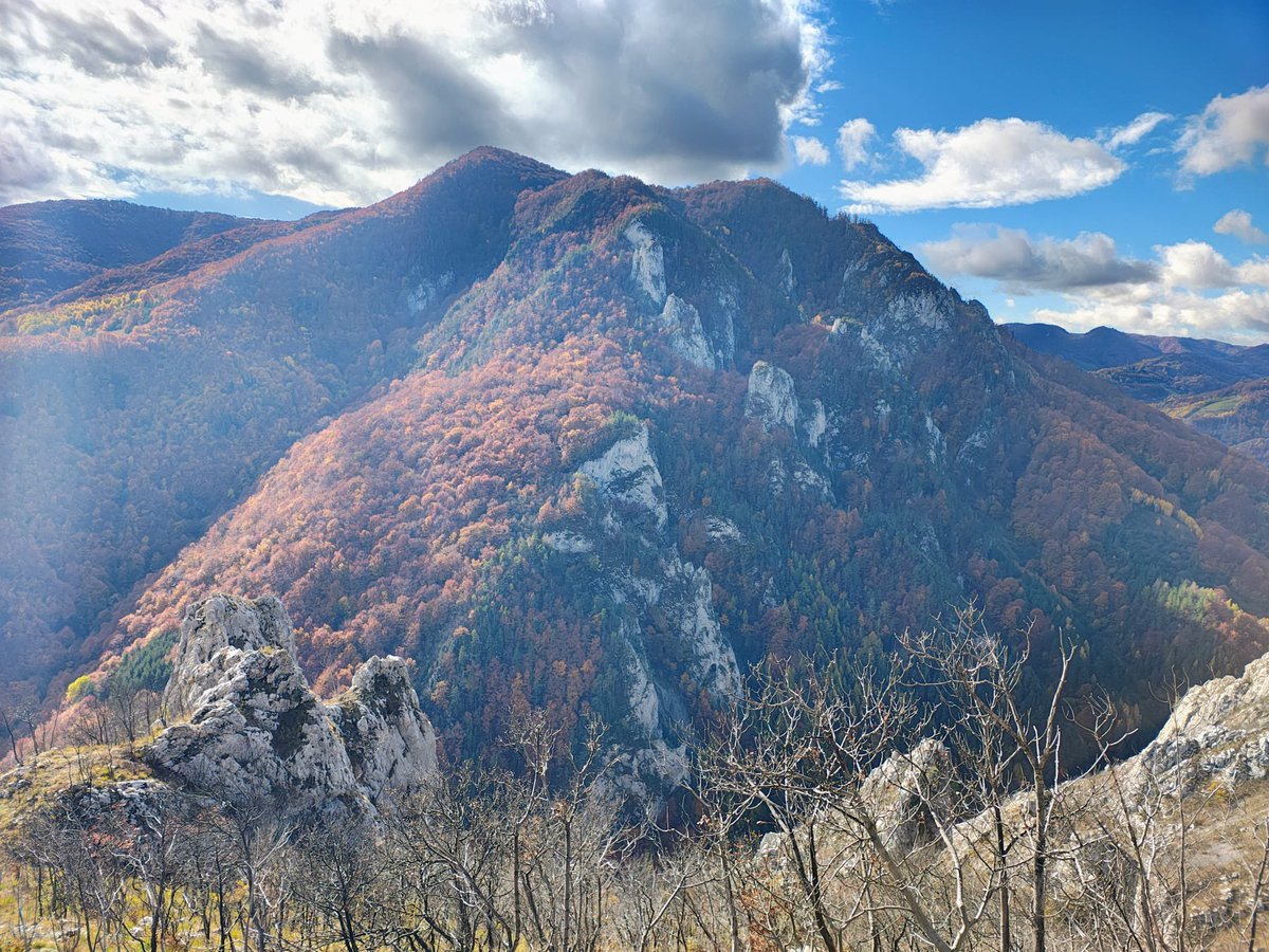 apusenitransilvania.ro/2025/11/04/che…