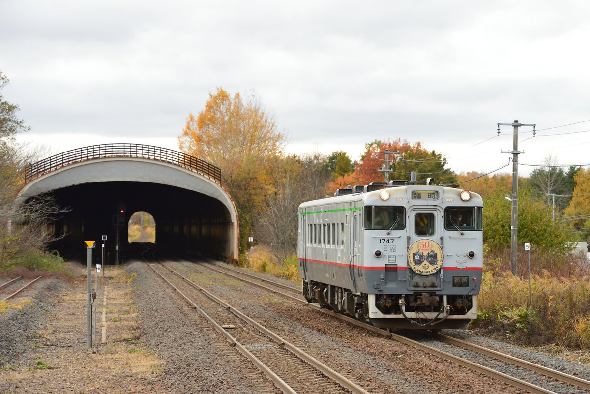 ◆大感謝祭!! FERNANDES CONCRETE G1G22656 魁 on X