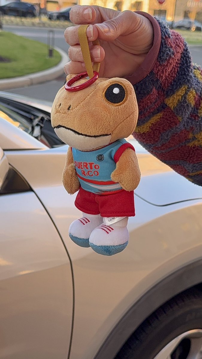 Me llegó mi sapo 🏀😍