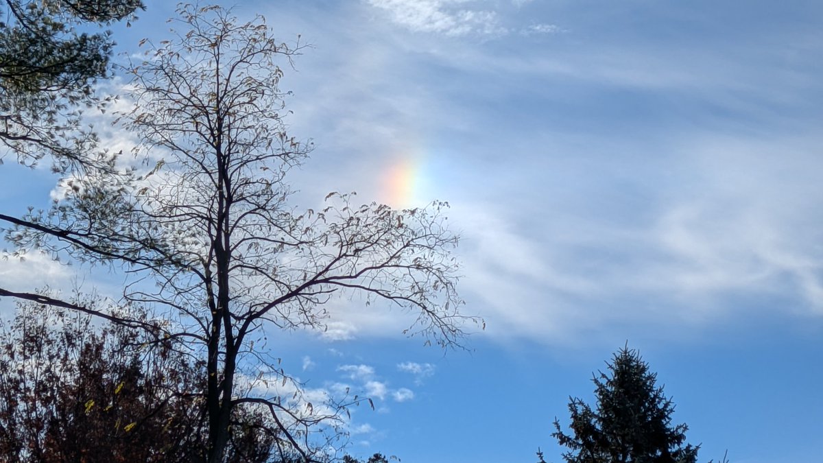 Still some good color left around Duncansville, PA this early November morning.