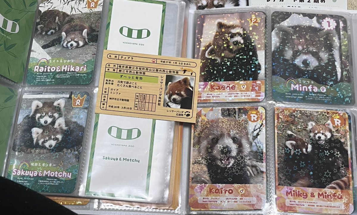 龍聖ページ 竜🐲 on X