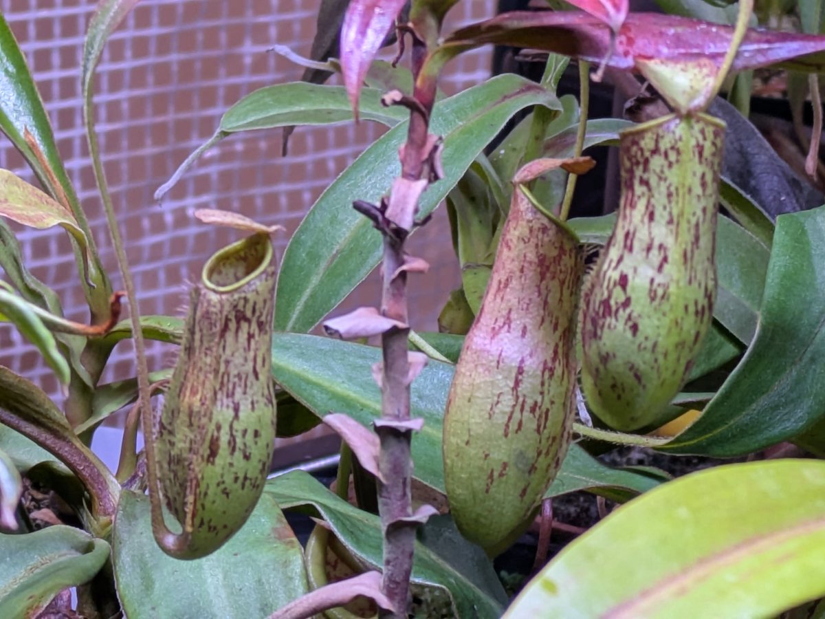 GEN (@GEN85413271) / Posts / X