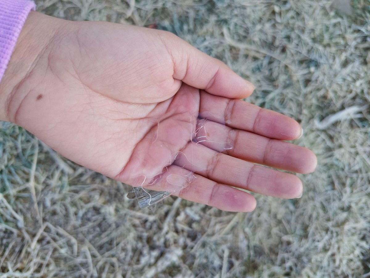 SicomNoticias_'s tweet image. ❄️ Se registra helada en #Libres este martes 4 de noviembre con sensación térmica de 2 °C y capas de hielo en recipientes. Autoridades exhortan a extremar precauciones y proteger a personas vulnerables y seres sintientes.

📰#SicomNoticias

sicomnoticias.mx/se-registra-he…