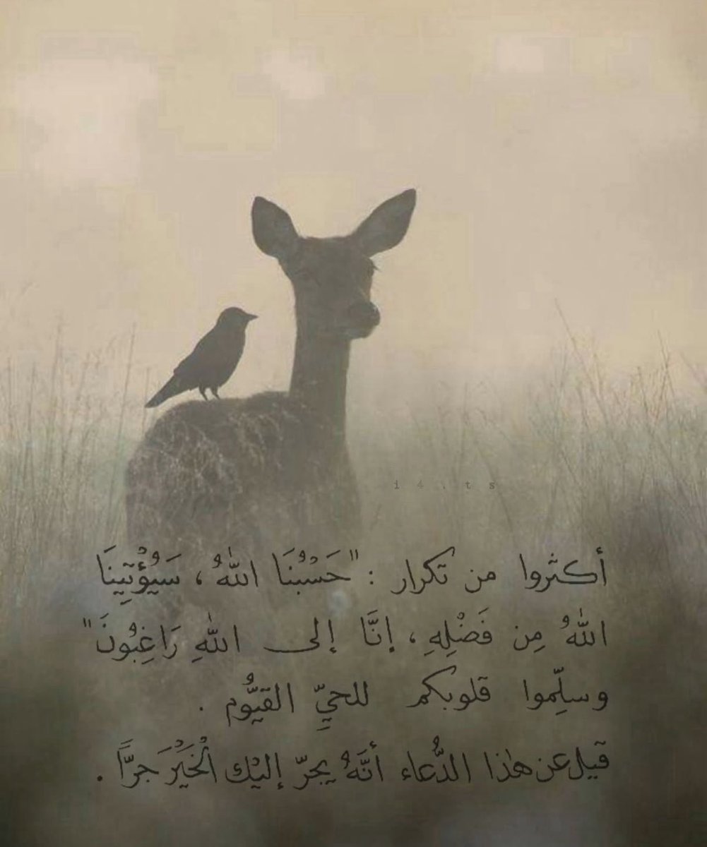 Modhialobaidi's tweet image. 