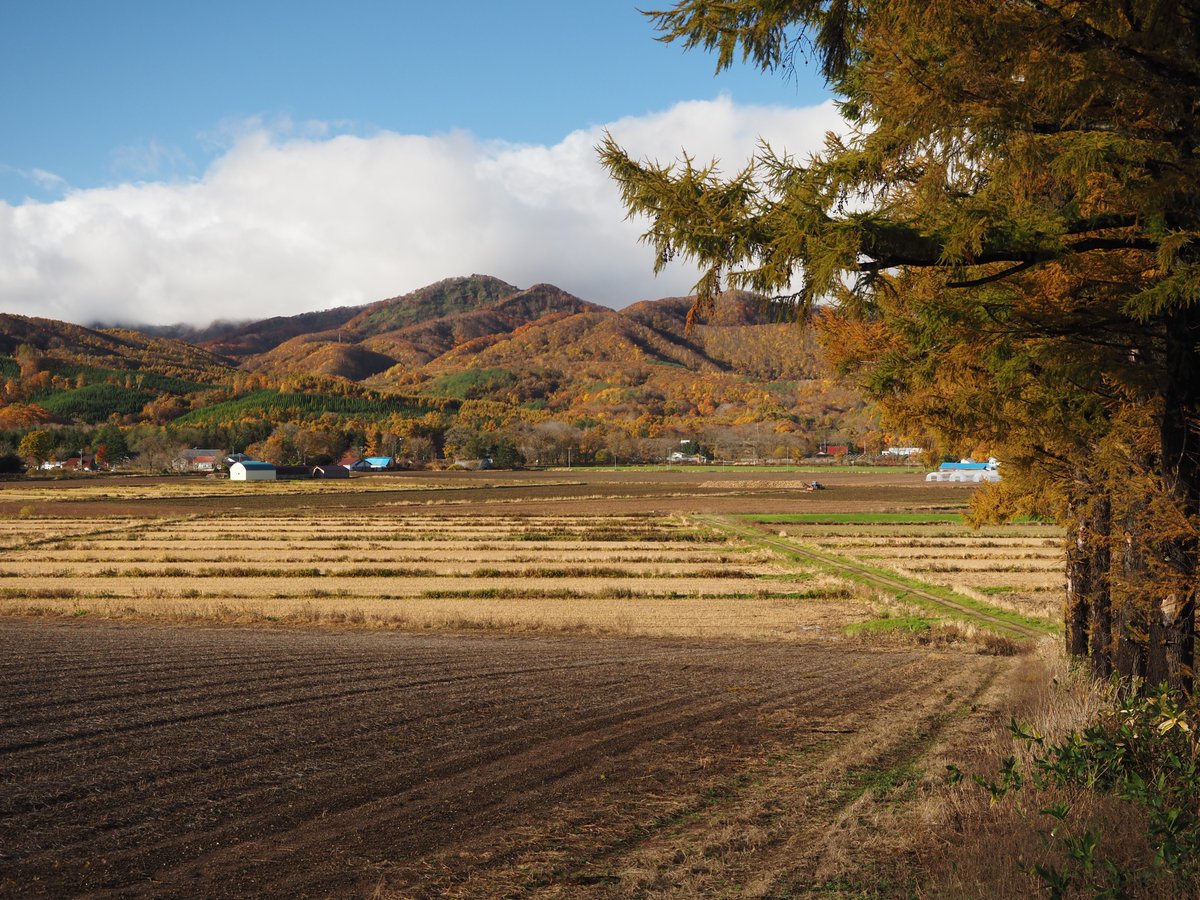 歌沢 見台 えぬやま on X