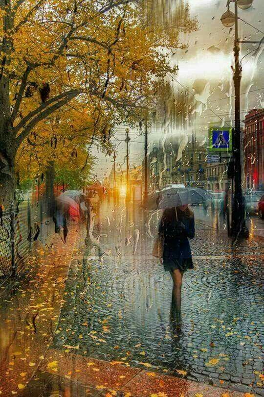 Bazen durup doğayı seyretmek gerek . Her şey nasıl da #uyum içinde. Doğa kimine bir öykü ,
Kimine bir roman...
#ÖzdemirAsaf