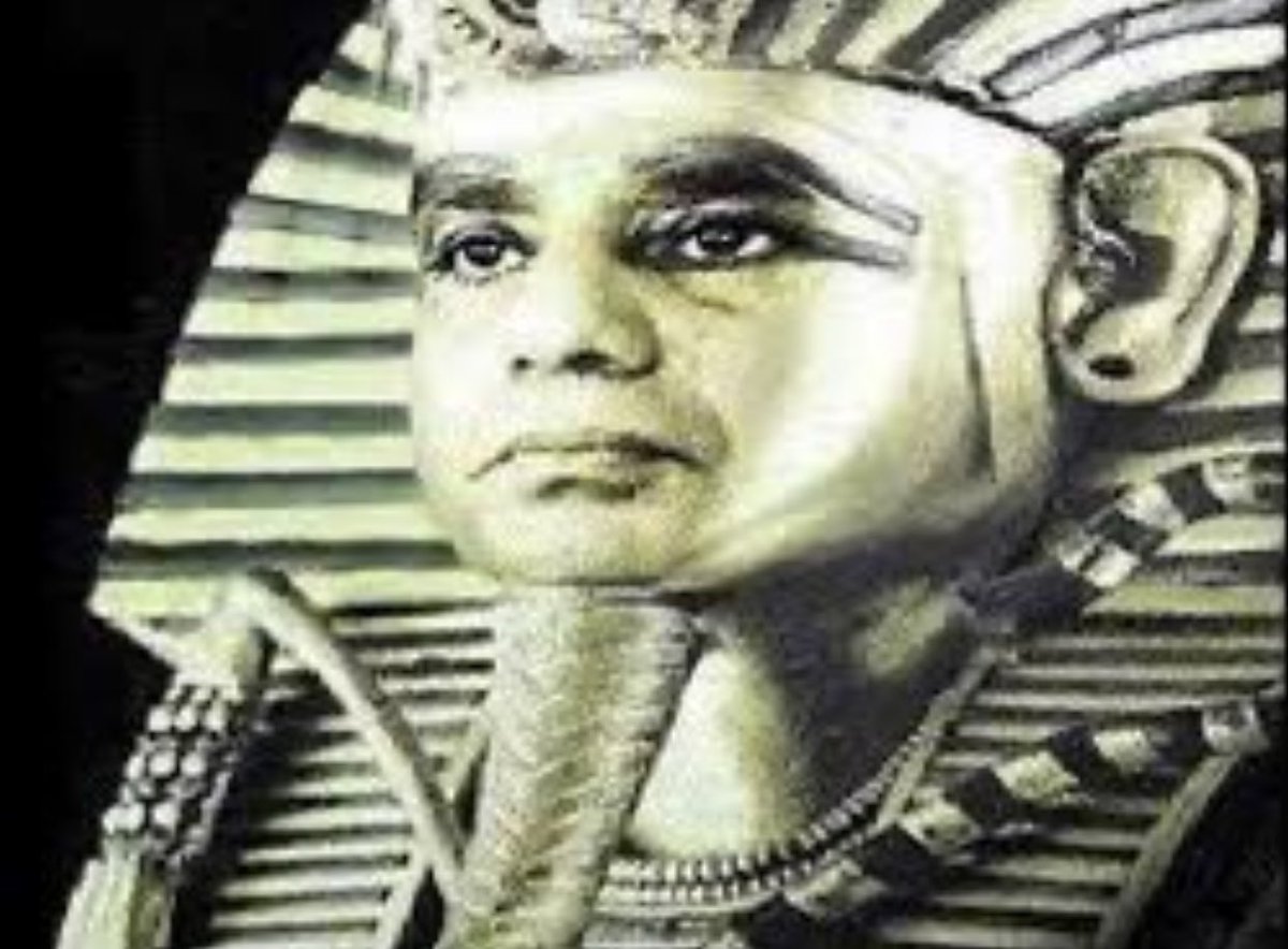 ابن ابراهيم tweet media