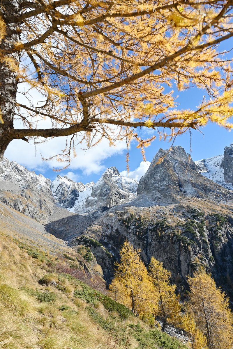 michele bordoni photography tweet media