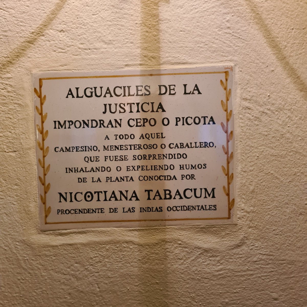 ¿He visto hoy el mejor azulejo?
He visto hoy el mejor azulejo