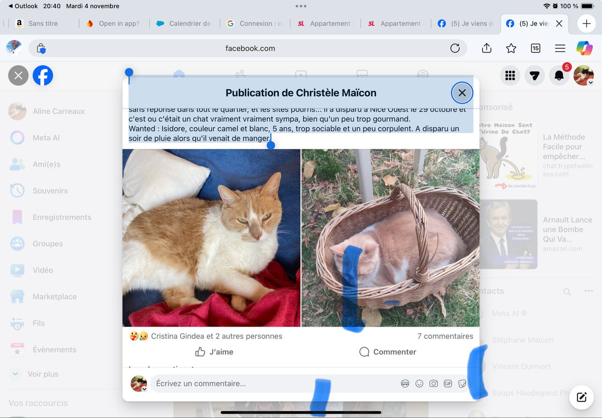 aline19701980's tweet photo. Je viens de perdre mon chat, Alors j'envoie sa https://t.co/QGTxH3t750 a disparu à Nice Ouest le 29 octobre et c'est un chat vraiment vraiment sympa,
Wanted : Isidore, couleur camel et blanc, 5 ans, trop sociable et un peu corpulent. A disparu un soir de pluie. https://t.co/KXvYMinsjl