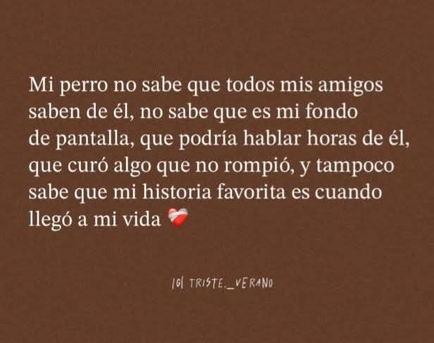 julieta_mia's tweet image. #FrasesParaElAlma #frase #FraseDelDía #Reflexión Yo amo a mi perro 💞❤️🐾