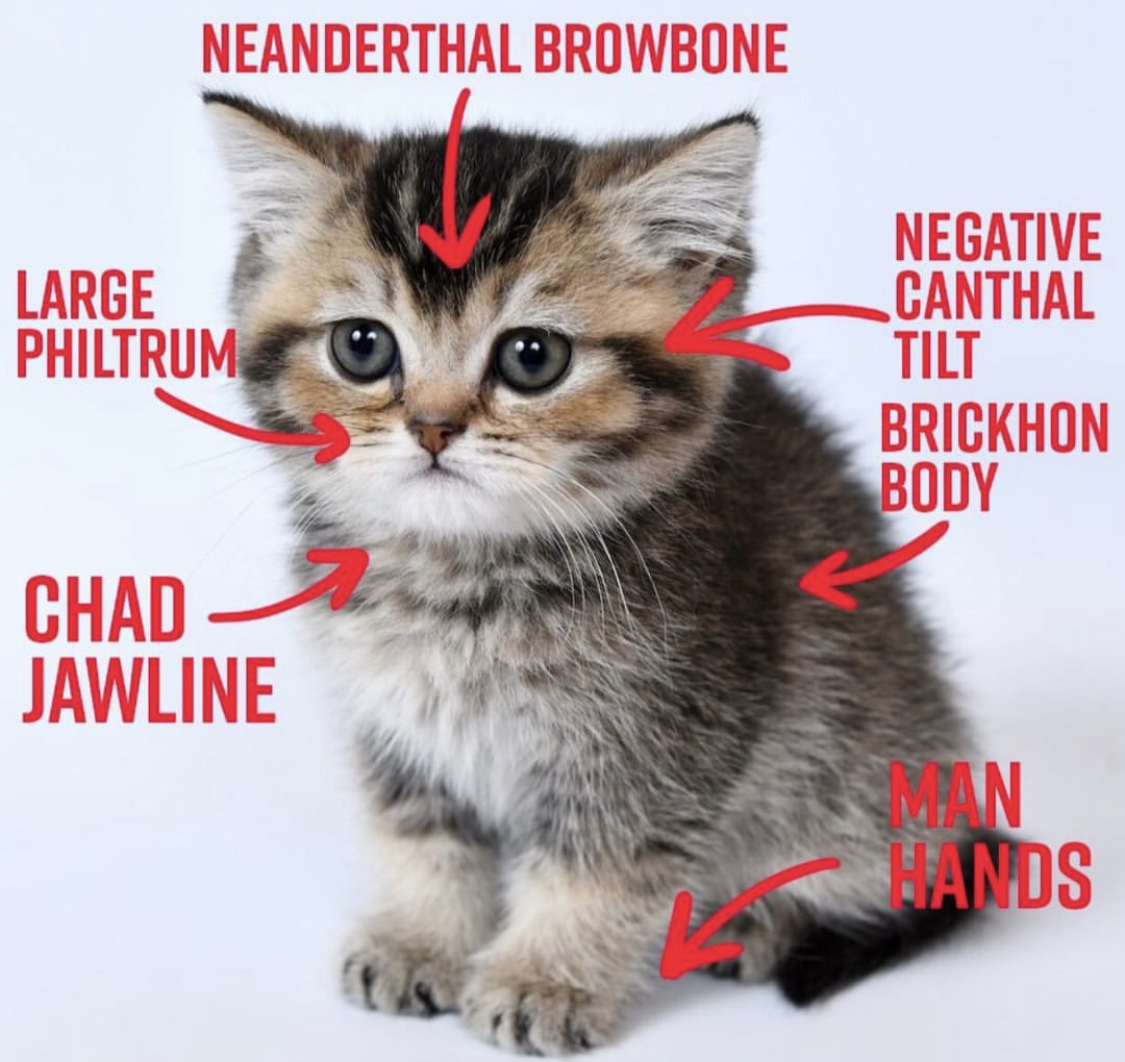 tttt_pics's tweet image. 